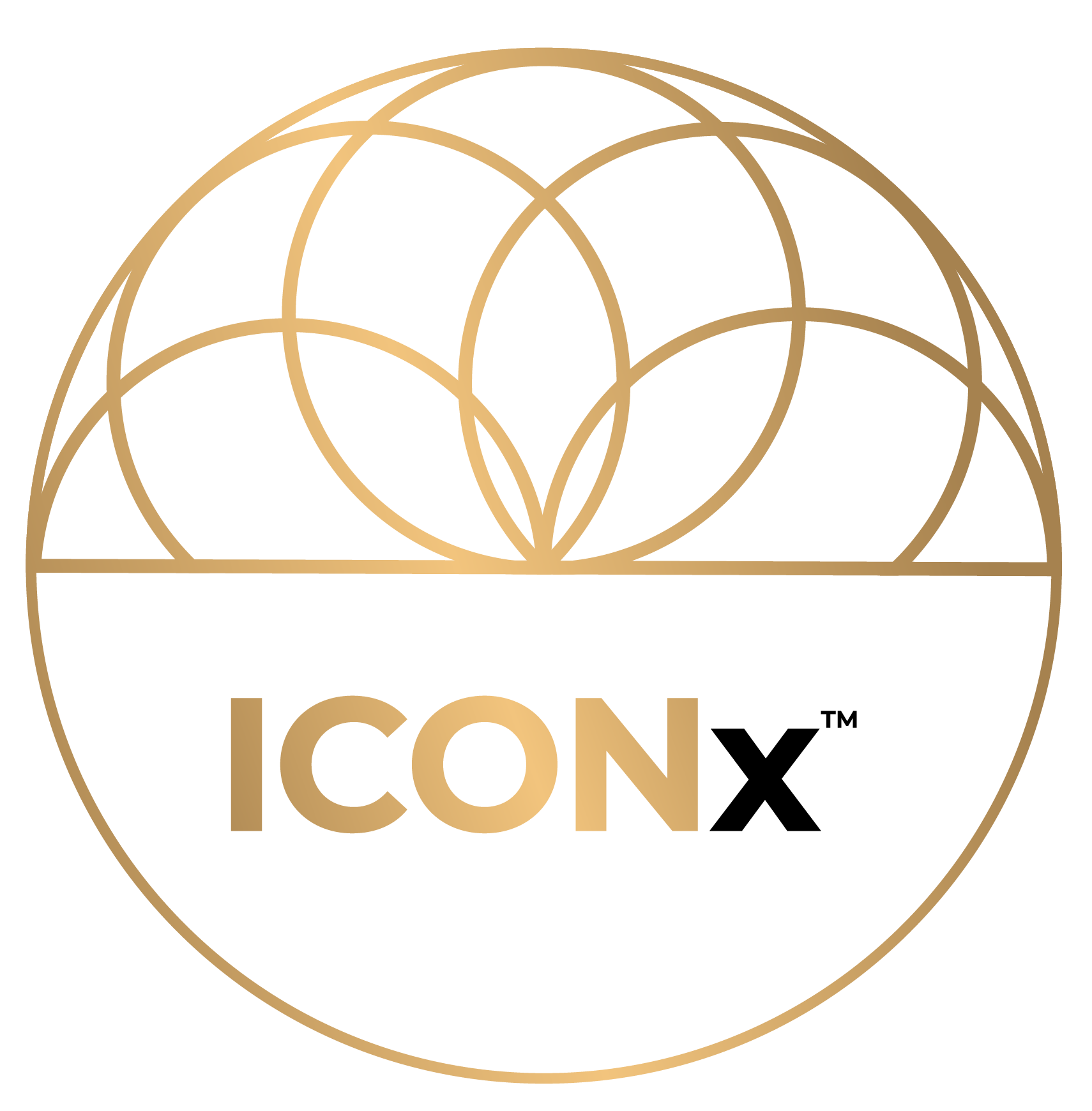 Icon-x